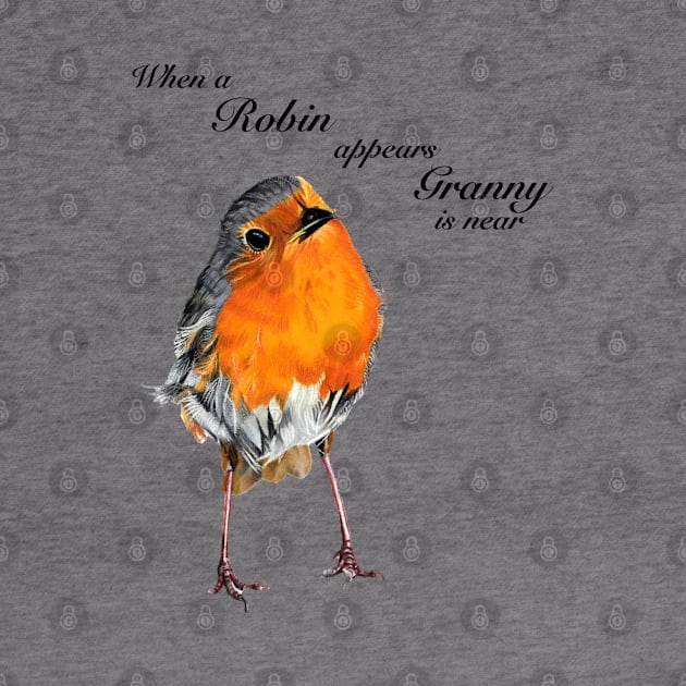 When a Robin appears Granny is near by IslesArt